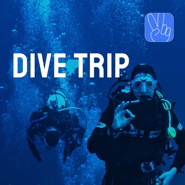 Dive into the Deep: A Diving Adventure in Nusa Penida
